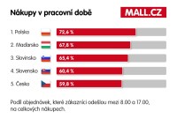 Kdo místo práce spíše brouzdá po internetových obchodech (Mall.cz).