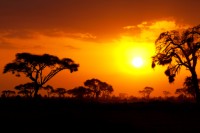 Afrika (©iStockphoto.com)