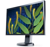 EIZO EV2336W je 23“ IPS monitor s rozlišením 1920 x 1080 bodů, s povrchem potlačujícím odlesky a LED podsvícením. Se svými 1080 řádky poskytuje větší výšku obrazu než běžná 19palcová LCD obrazovka, zatímco šířka je dokonce 1,5násobná. Určen je především do náročnějších kanceláří.