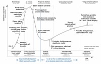 Gartner hype křivka popis