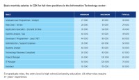 Platy napříč IT obory (zdroj: Hays SALARY SURVEY 2013)