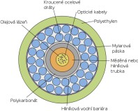 Průřez podmořským optickým kabelem (zdroj: Wikimédia))