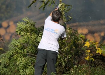 Podpora dobrovolnictví v ČR roste