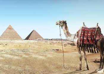 Zákony informatiky: Návštěva u Annie DeCaprio s Hofstadterem a Cheopsem