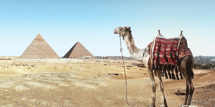 Zákony informatiky: Návštěva u Annie DeCaprio s Hofstadterem a Cheopsem