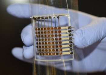 První ohebný OLED displej z 3D tiskárny