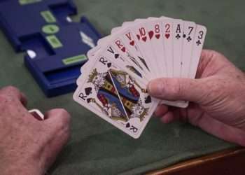 Umělá inteligence na turnaji porazila osm mistrů světa v bridži